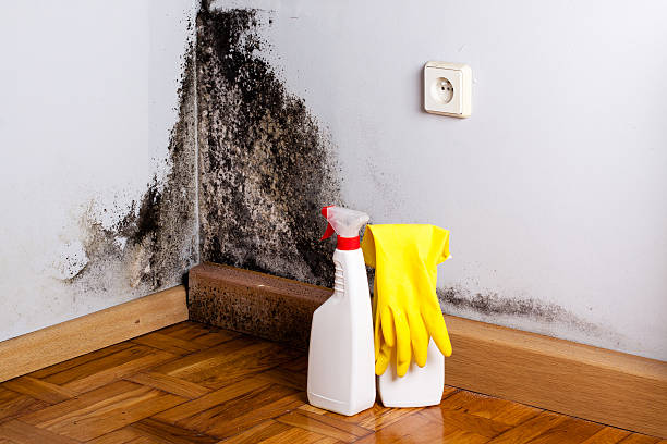 Water damage restoration process in Bells, TX